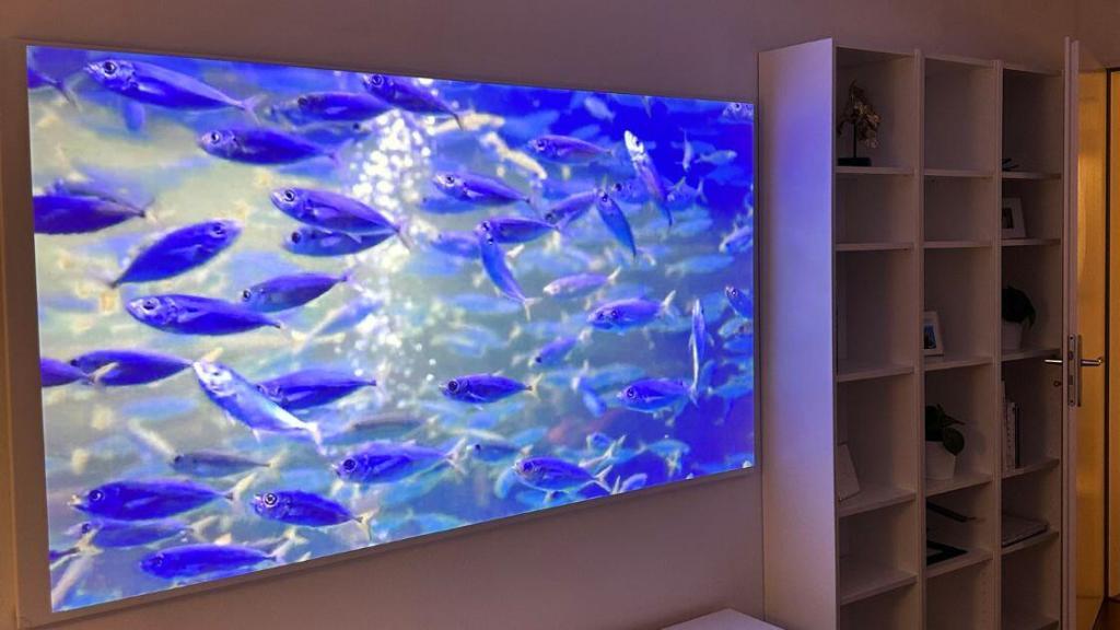 250 cm Rahmenleinwand als TV Ersatz