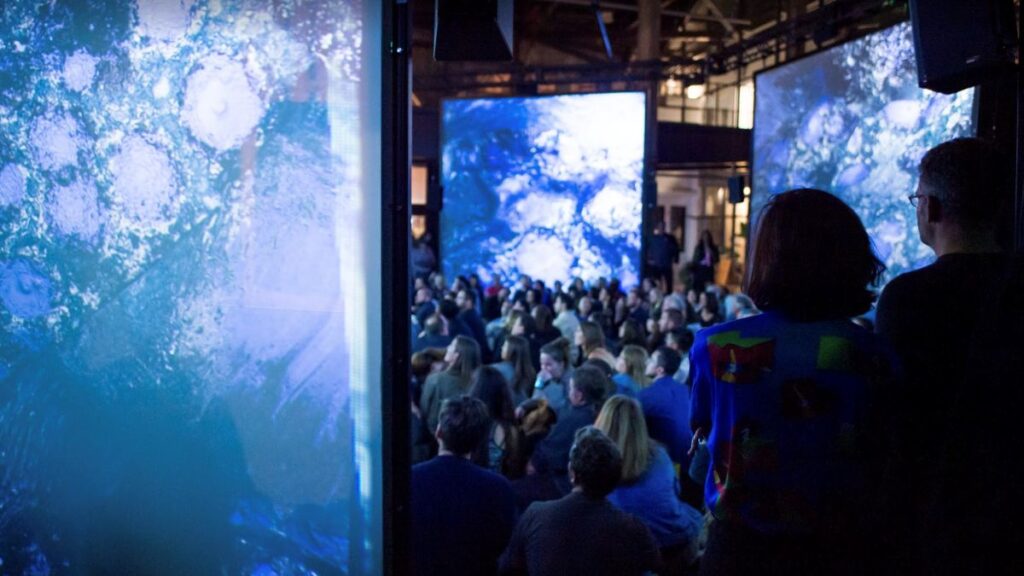 Stiers Beamerleinwand für Kunstausstellungen